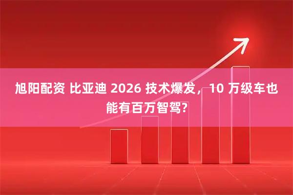 旭阳配资 比亚迪 2026 技术爆发，10 万级车也能有百万智驾?