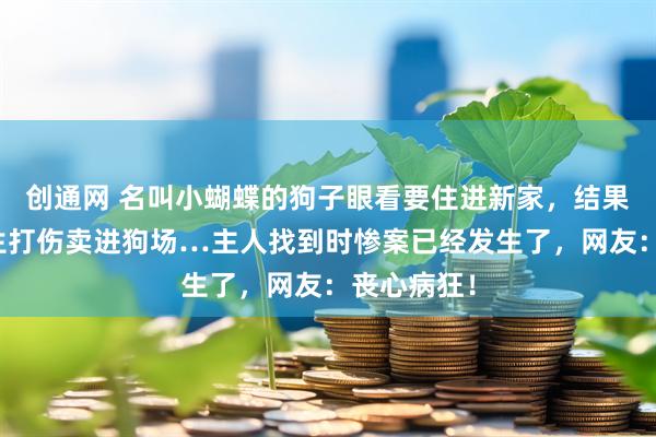 创通网 名叫小蝴蝶的狗子眼看要住进新家，结果却被老医生打伤卖进狗场…主人找到时惨案已经发生了，网友：丧心病狂！